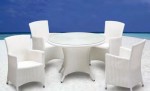 Dining Chair WR-AC-003